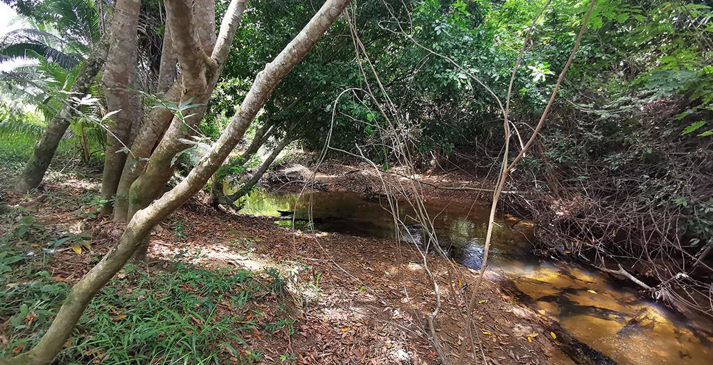 listing image with ID 72696