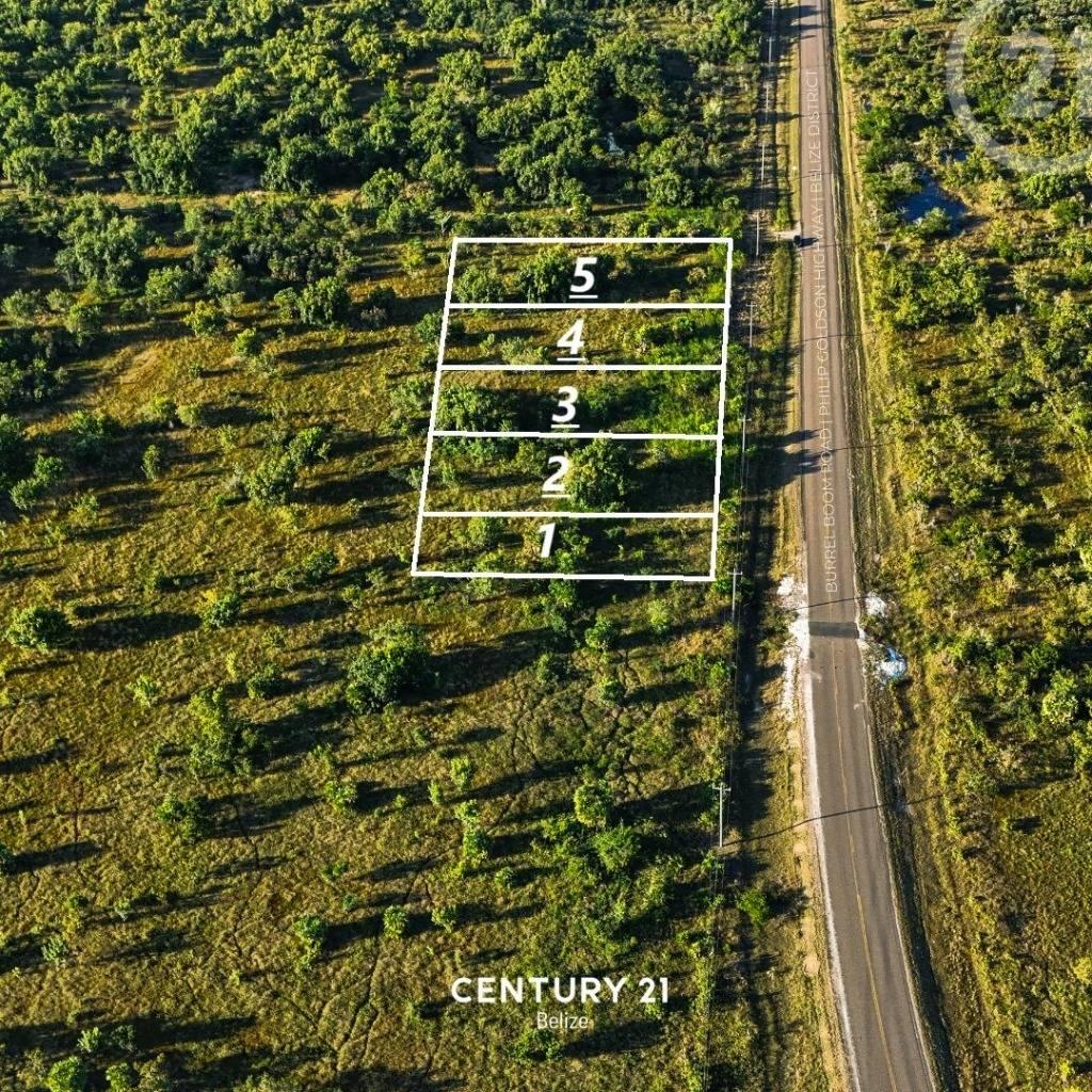 listing image with ID 71007