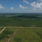 listing image thumbnail with ID 71157