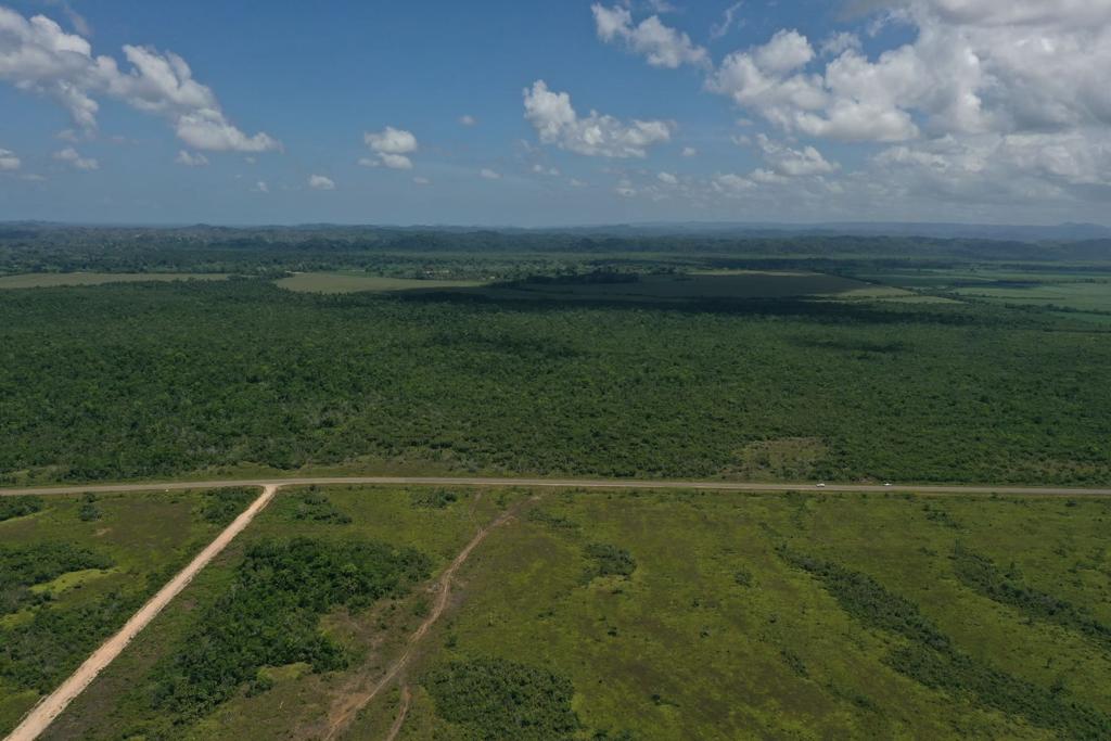 listing image with ID 71157