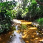 listing image thumbnail with ID 72740