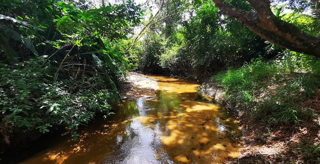 listing image with ID 72742