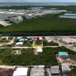 listing image thumbnail with ID 71917