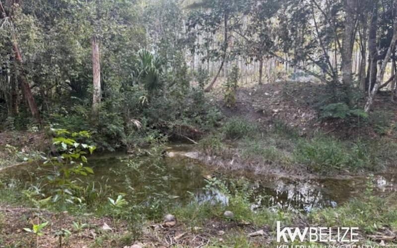 listing image with ID 71783