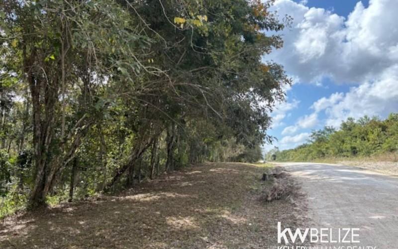 listing image with ID 71779