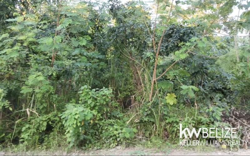 listing image with ID 71597