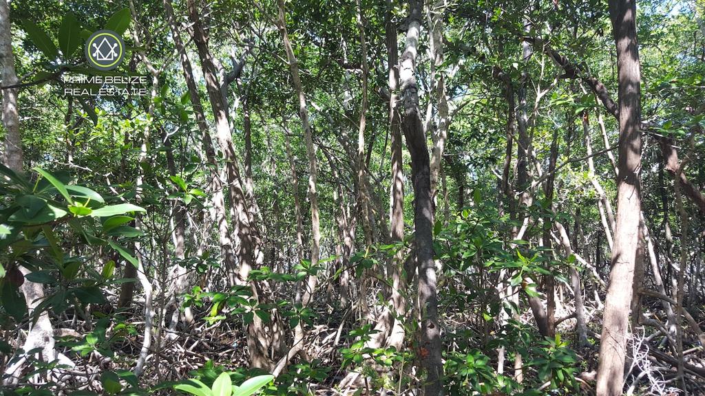 listing image with ID 71683