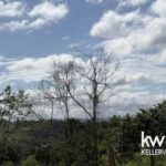 listing image thumbnail with ID 71643