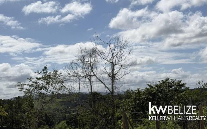 listing image with ID 71643