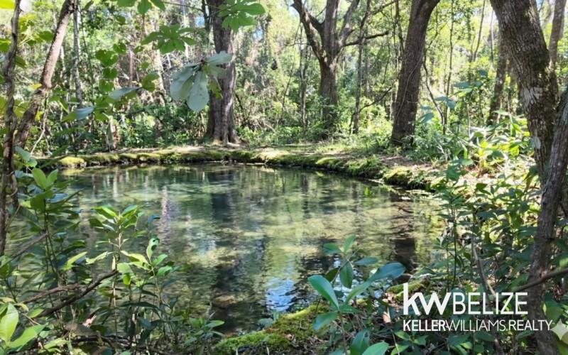 listing image with ID 71636