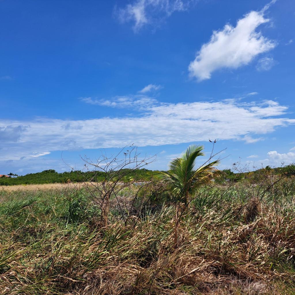 listing image with ID 71693