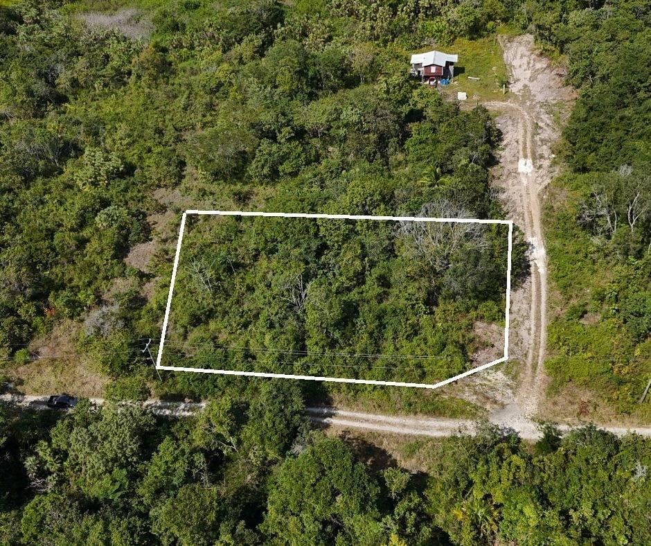 listing image with ID 71258