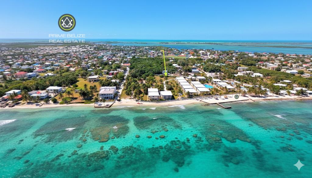 listing image with ID 71087