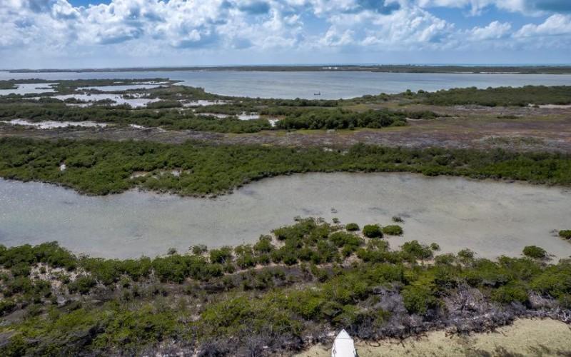 listing image with ID 72220