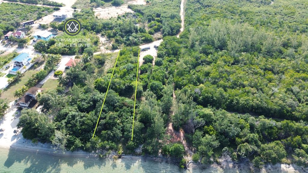 listing image with ID 71236