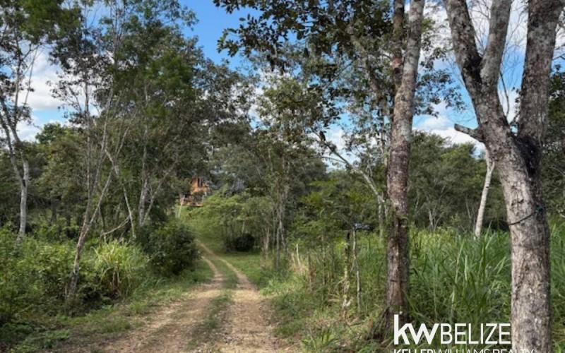 listing image with ID 71717