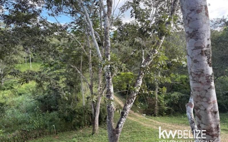 listing image with ID 71721