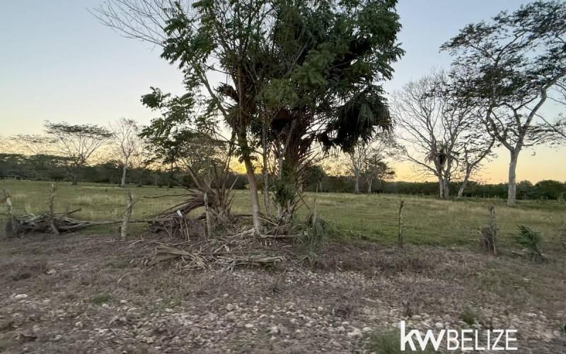 listing image with ID 72111