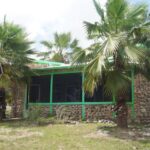 listing image thumbnail with ID 72282