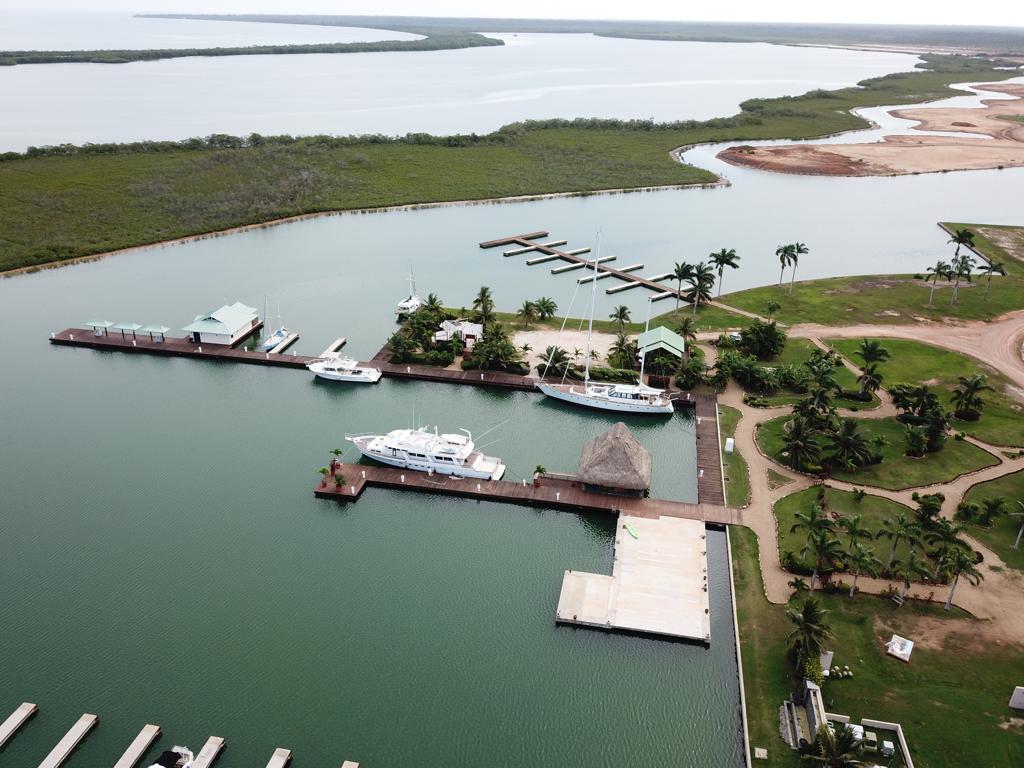 listing image with ID 72782