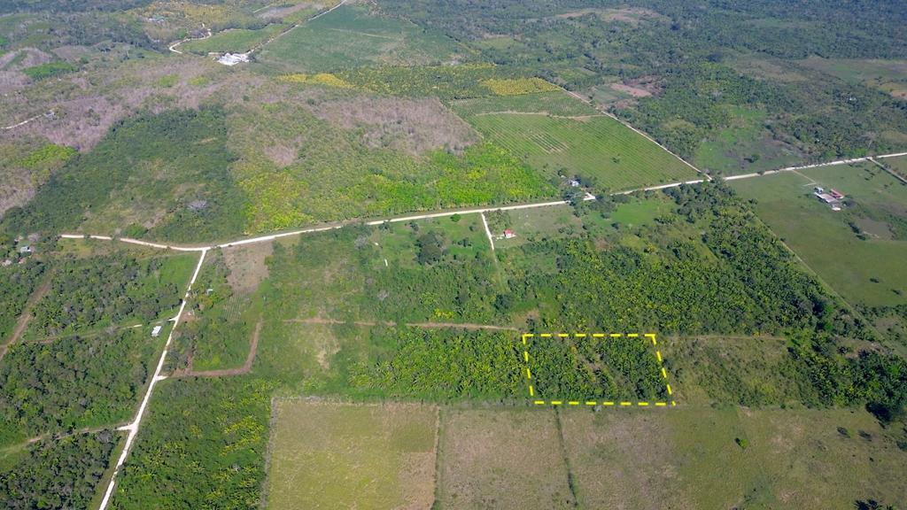 listing image with ID 72731