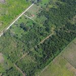 listing image thumbnail with ID 72736