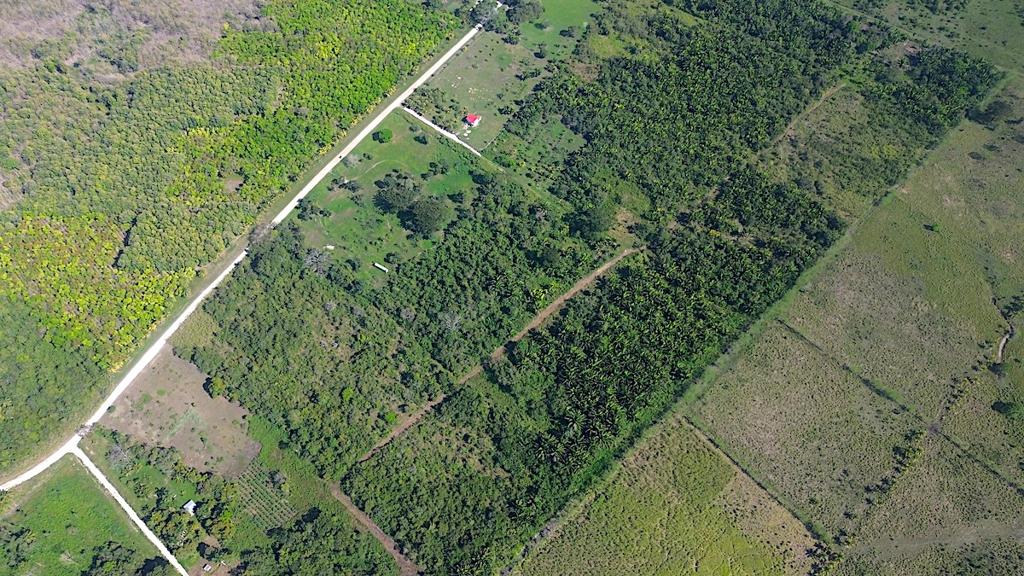 listing image with ID 72736