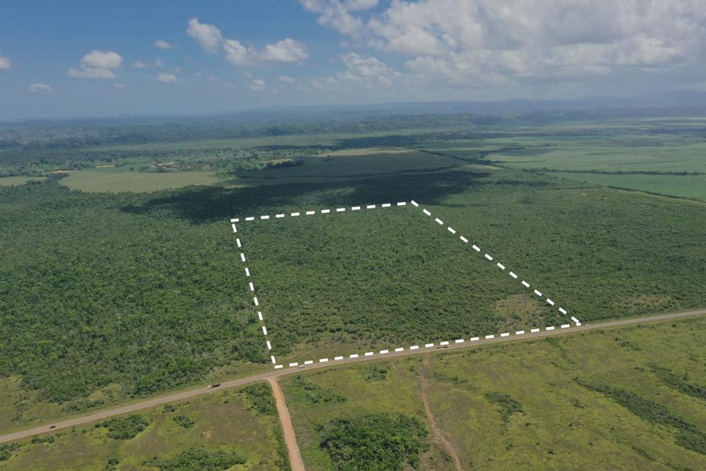 listing image with ID 71158