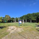 listing image thumbnail with ID 71990