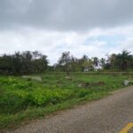 listing image thumbnail with ID 72243