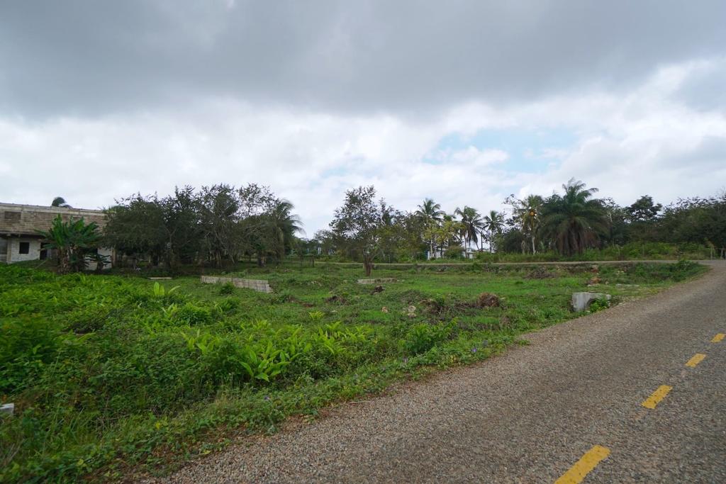 listing image with ID 72243