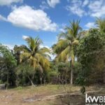 listing image thumbnail with ID 72014