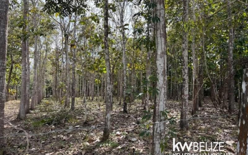 listing image with ID 71774