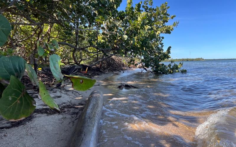 listing image with ID 71244