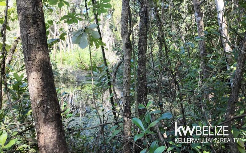 listing image with ID 71639