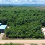 listing image thumbnail with ID 72231