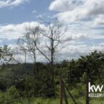 listing image thumbnail with ID 71645