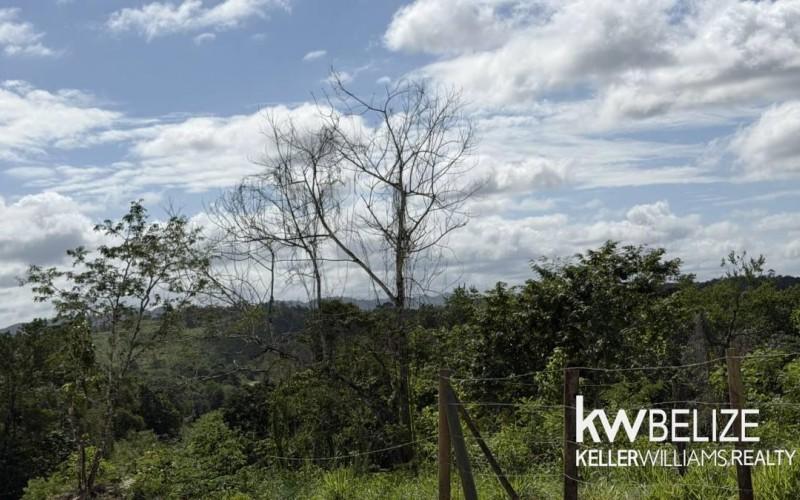 listing image with ID 71645