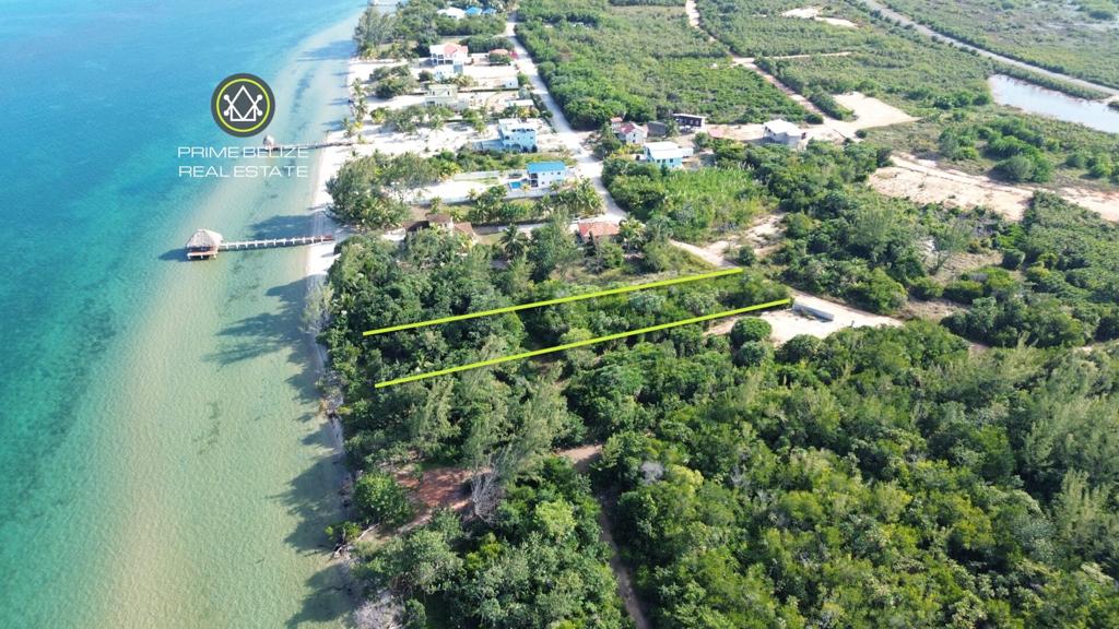 listing image with ID 71235