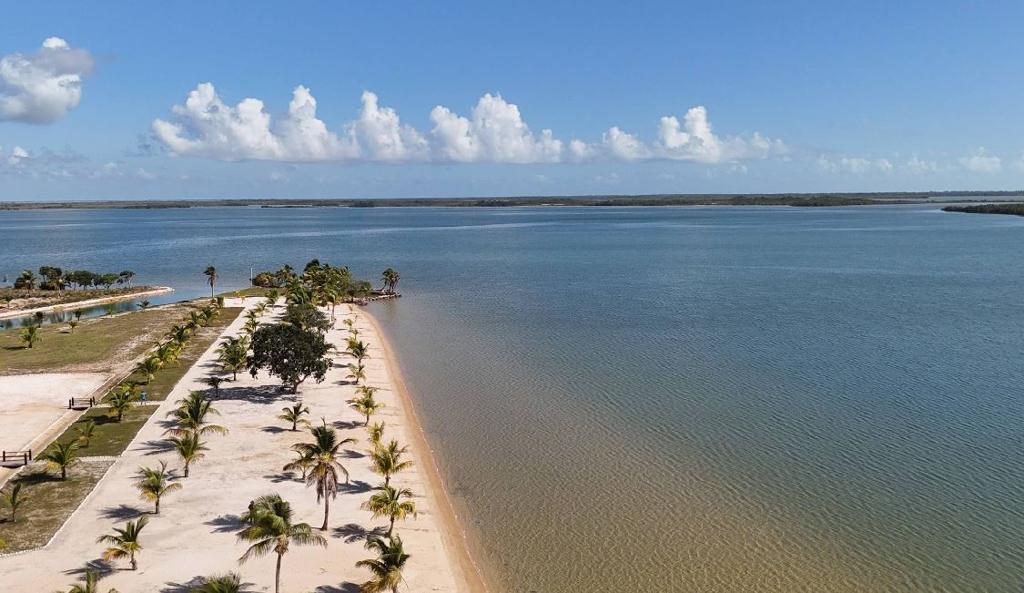 listing image with ID 71274