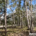 listing image thumbnail with ID 71789