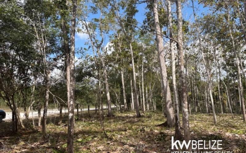 listing image with ID 71789