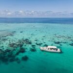 listing image thumbnail with ID 71426