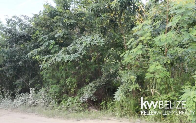 listing image with ID 71598