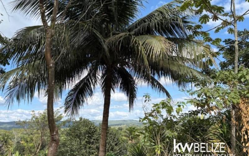 listing image with ID 72009