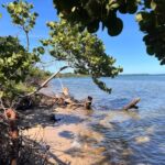 listing image thumbnail with ID 71251