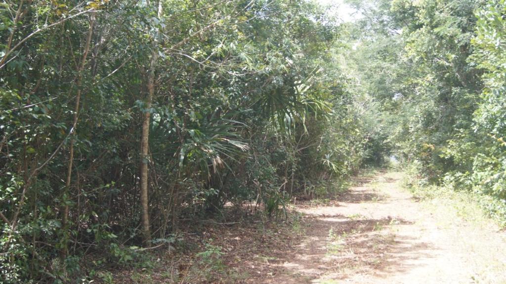 listing image with ID 72316