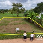 listing image thumbnail with ID 71503