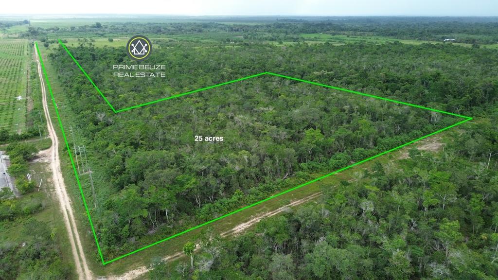 listing image with ID 71238