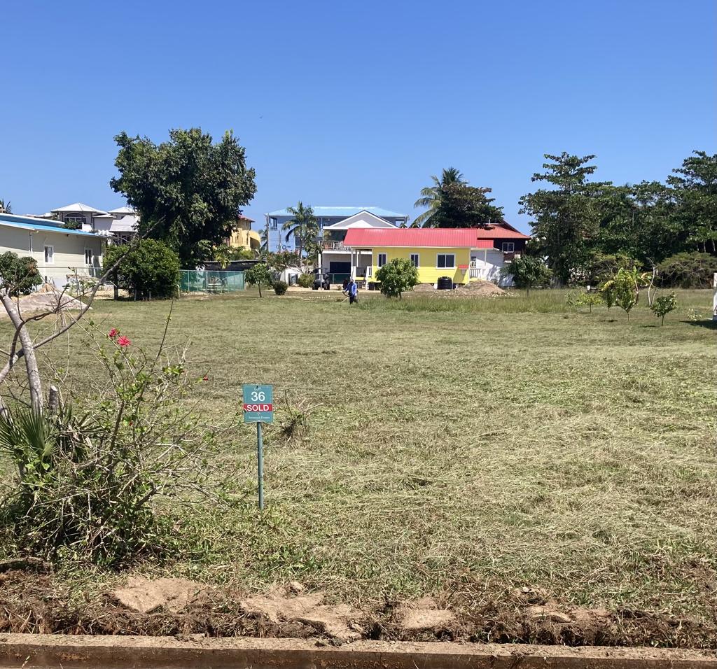 listing image with ID 71488